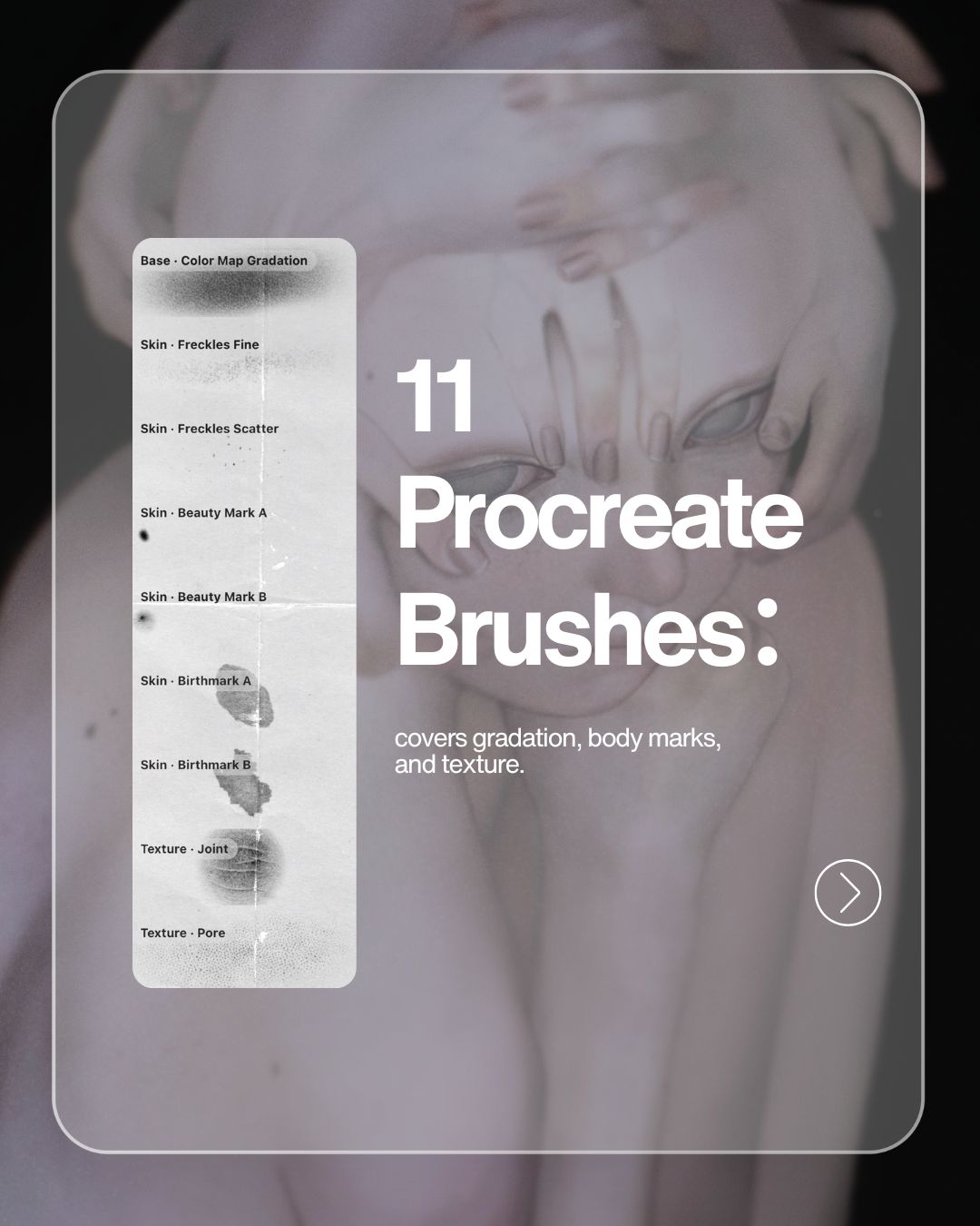 Porcelain Skin Brushes & Guide