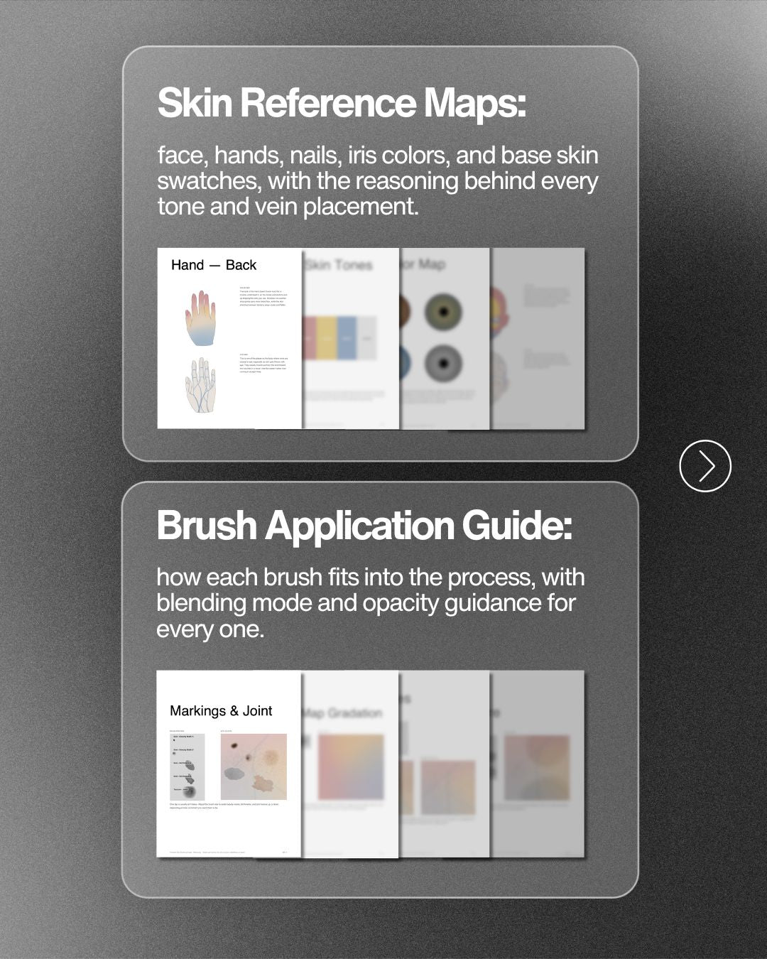 Porcelain Skin Brushes & Guide